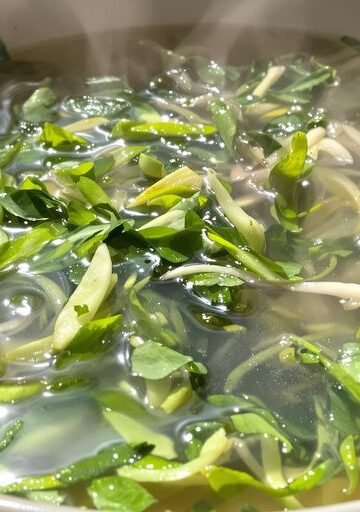 Bowl of clear broth with floating vegetables.